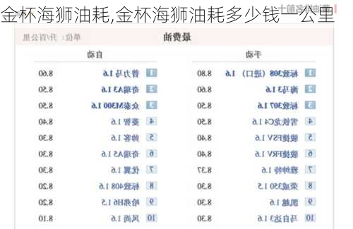 金杯海狮油耗,金杯海狮油耗多少钱一公里