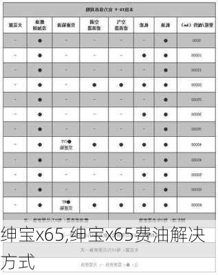 绅宝x65,绅宝x65费油解决方式