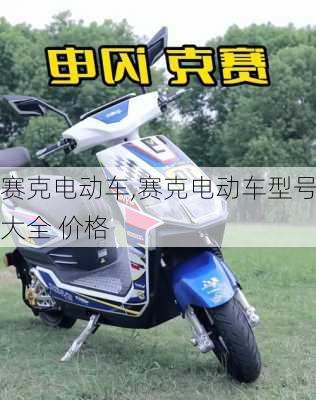 赛克电动车,赛克电动车型号大全 价格