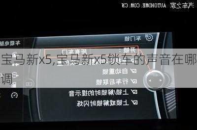 宝马新x5,宝马新x5锁车的声音在哪调