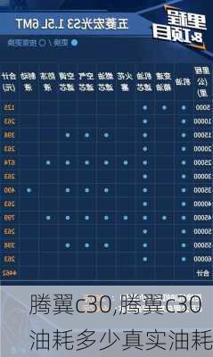 腾翼c30,腾翼c30油耗多少真实油耗