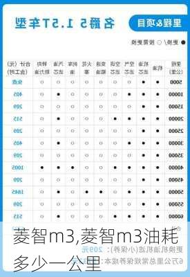 菱智m3,菱智m3油耗多少一公里