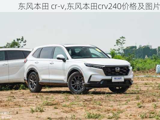 东风本田 cr-v,东风本田crv240价格及图片