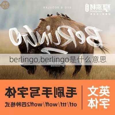 berlingo,berlingo是什么意思