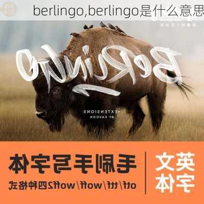 berlingo,berlingo是什么意思