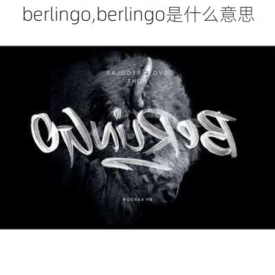 berlingo,berlingo是什么意思