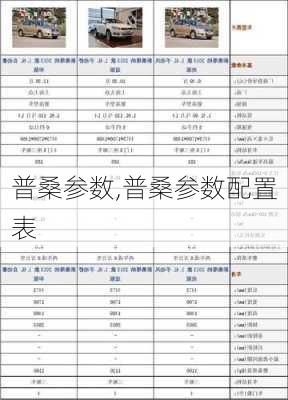 普桑参数,普桑参数配置表