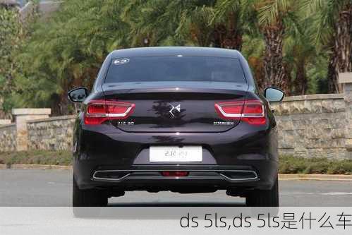 ds 5ls,ds 5ls是什么车