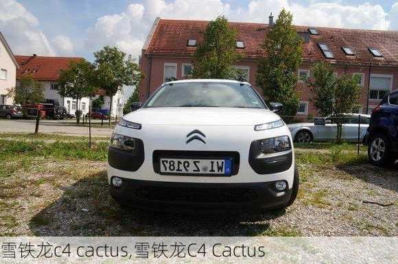 雪铁龙c4 cactus,雪铁龙C4 Cactus