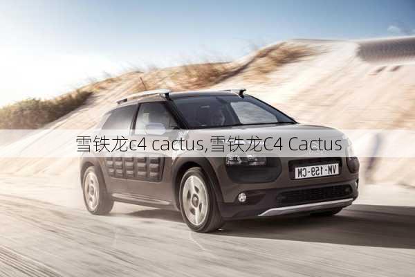 雪铁龙c4 cactus,雪铁龙C4 Cactus