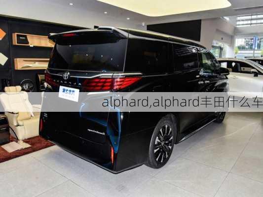 alphard,alphard丰田什么车