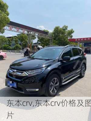 东本crv,东本crv价格及图片