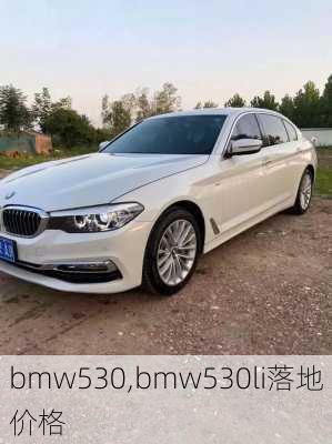 bmw530,bmw530li落地价格