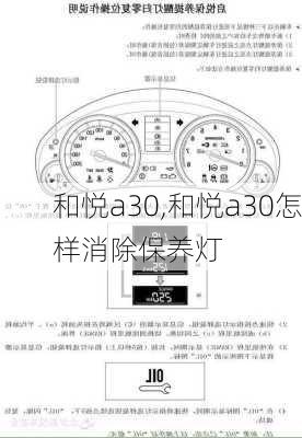 和悦a30,和悦a30怎样消除保养灯