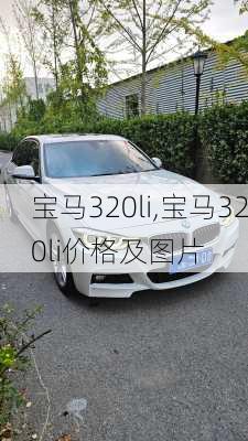 宝马320li,宝马320li价格及图片