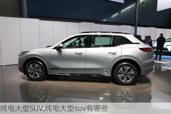 纯电大型SUV,纯电大型suv有哪些