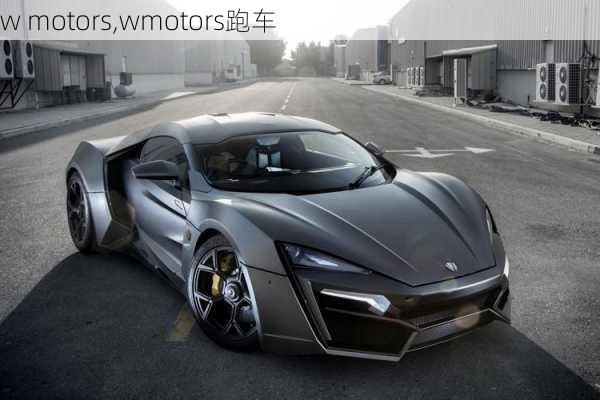 w motors,wmotors跑车