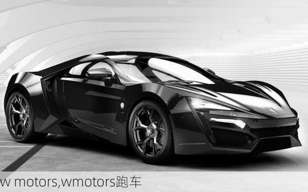 w motors,wmotors跑车