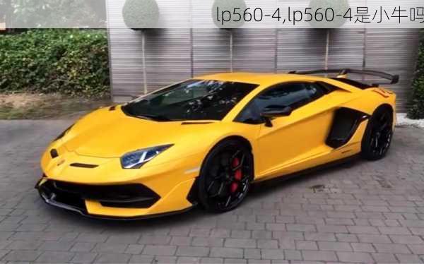 lp560-4,lp560-4是小牛吗