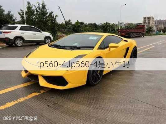 lp560-4,lp560-4是小牛吗