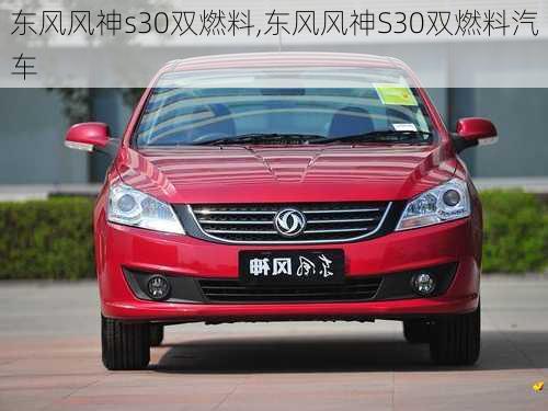 东风风神s30双燃料,东风风神S30双燃料汽车