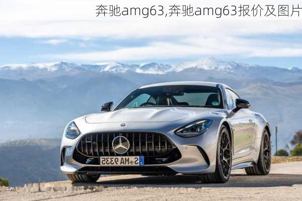 奔驰amg63,奔驰amg63报价及图片