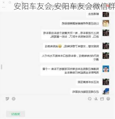 安阳车友会,安阳车友会微信群