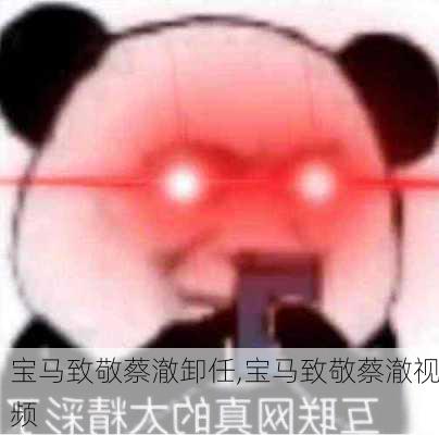 宝马致敬蔡澈卸任,宝马致敬蔡澈视频