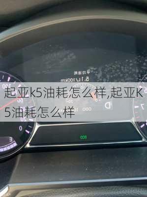 起亚k5油耗怎么样,起亚K5油耗怎么样