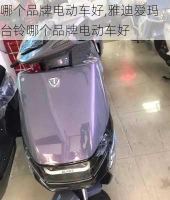 哪个品牌电动车好,雅迪爱玛台铃哪个品牌电动车好