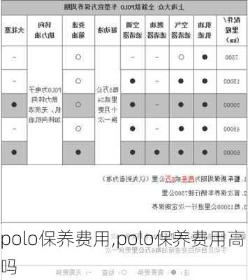 polo保养费用,polo保养费用高吗