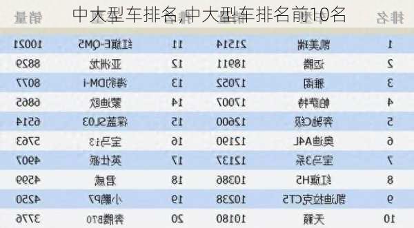 中大型车排名,中大型车排名前10名