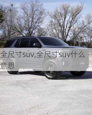 全尺寸suv,全尺寸suv什么意思