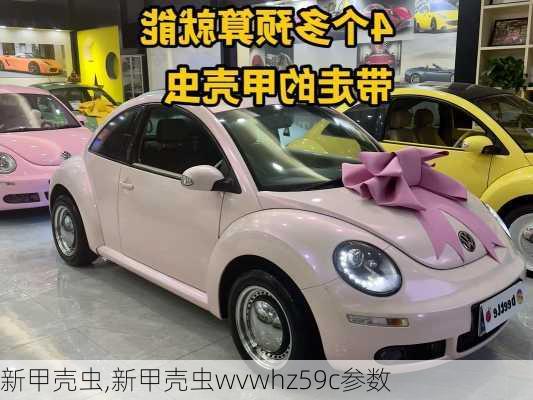 新甲壳虫,新甲壳虫wvwhz59c参数