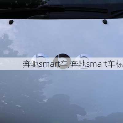 奔驰smart车,奔驰smart车标