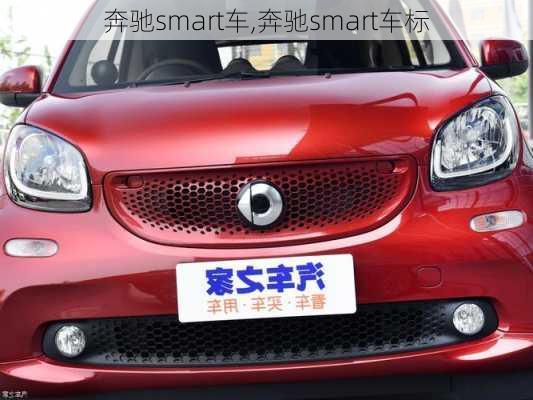 奔驰smart车,奔驰smart车标