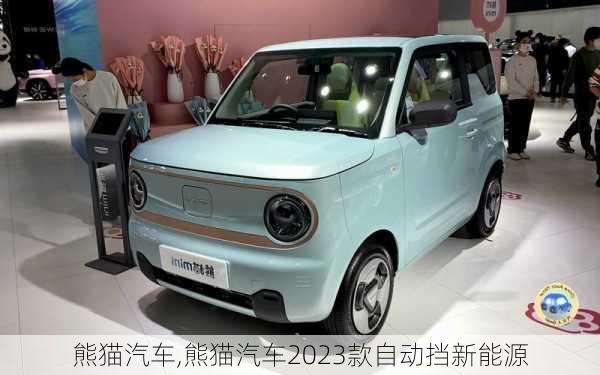 熊猫汽车,熊猫汽车2023款自动挡新能源