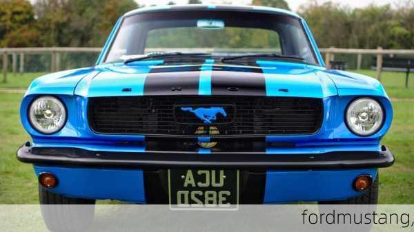 fordmustang,