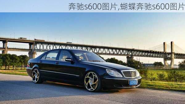 奔驰s600图片,蝴蝶奔驰s600图片