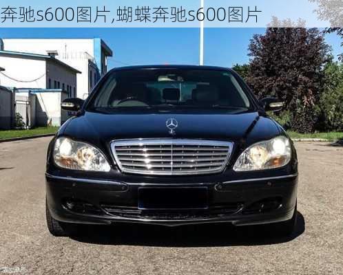 奔驰s600图片,蝴蝶奔驰s600图片