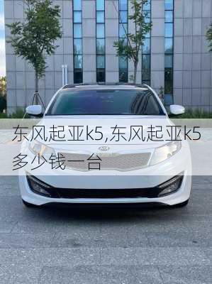 东风起亚k5,东风起亚k5多少钱一台