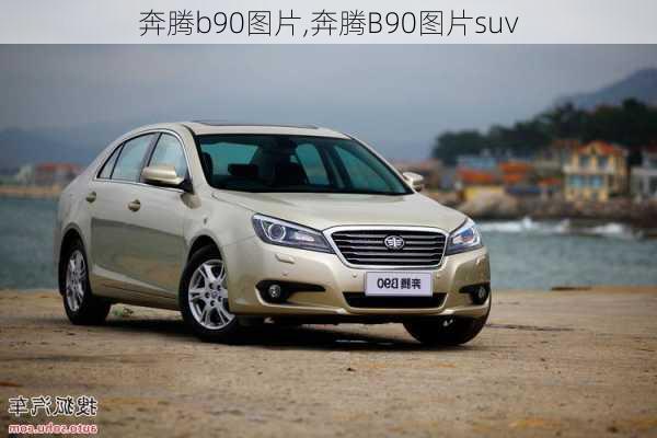 奔腾b90图片,奔腾B90图片suv