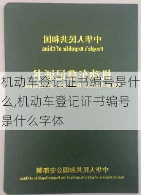 机动车登记证书编号是什么,机动车登记证书编号是什么字体