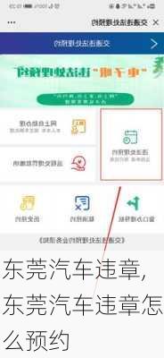 东莞汽车违章,东莞汽车违章怎么预约