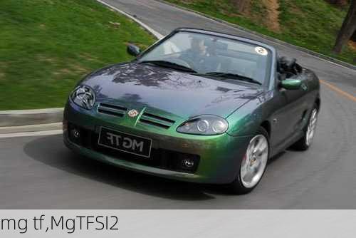 mg tf,MgTFSI2