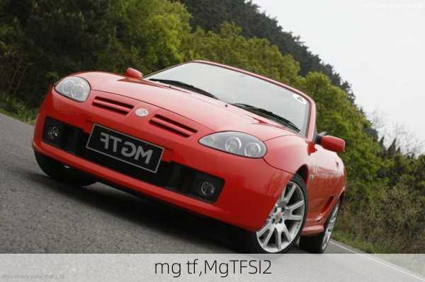 mg tf,MgTFSI2