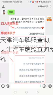 天津汽车牌照查询,天津汽车牌照查询系统
