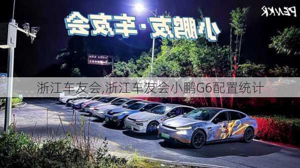 浙江车友会,浙江车友会小鹏G6配置统计