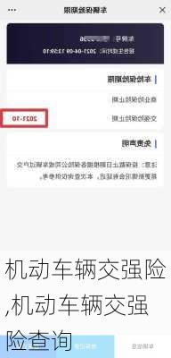 机动车辆交强险,机动车辆交强险查询