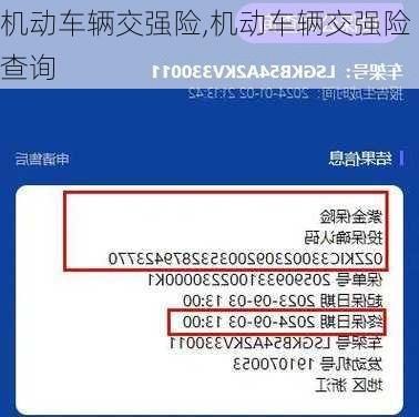 机动车辆交强险,机动车辆交强险查询
